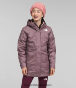 The North Face ropa NFHLJL579 gris leonado niños triclima norte abajo