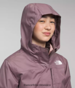 The North Face ropa NFHLJL579 gris leonado niños triclima norte abajo - Image 4