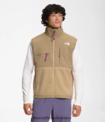 The North Face ropa NFHLJL599 piedra caqui hombres chaleco denali