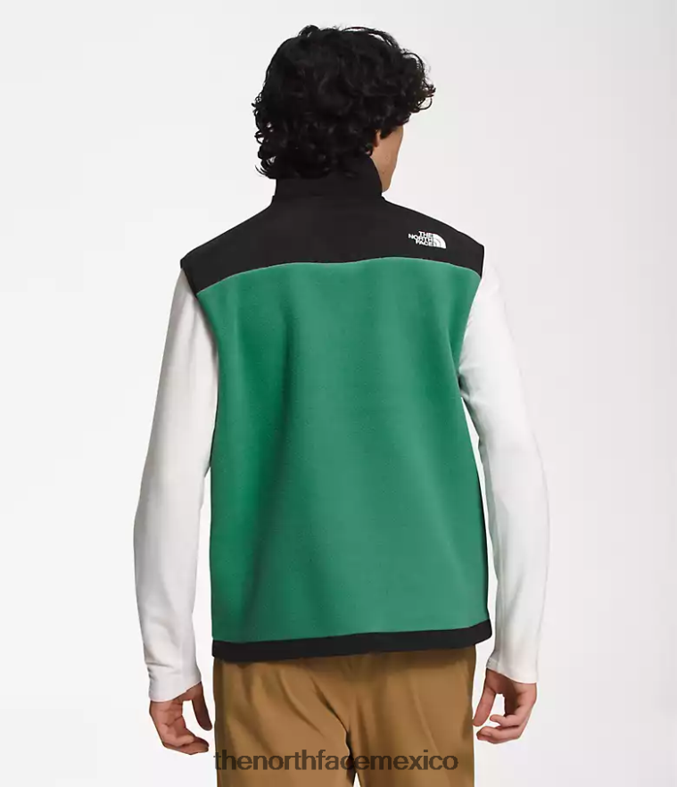 The North Face ropa NFHLJL601 verde hierba intenso hombres chaleco denali - Image 2