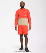 The North Face ropa NFHLJL603 grava/naranja retro hombres equipo técnico tnf - Image 2
