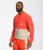 The North Face ropa NFHLJL603 grava/naranja retro hombres equipo técnico tnf - Image 4