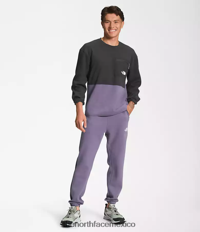 The North Face ropa NFHLJL604 pizarra lunar hombres equipo técnico tnf - Image 2