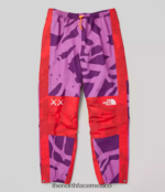 The North Face ropa NFHLJL607 kw pamplona violeta mtn estampado claro unisexo pantalón ligero de montaña tnf x kaws - Image 5