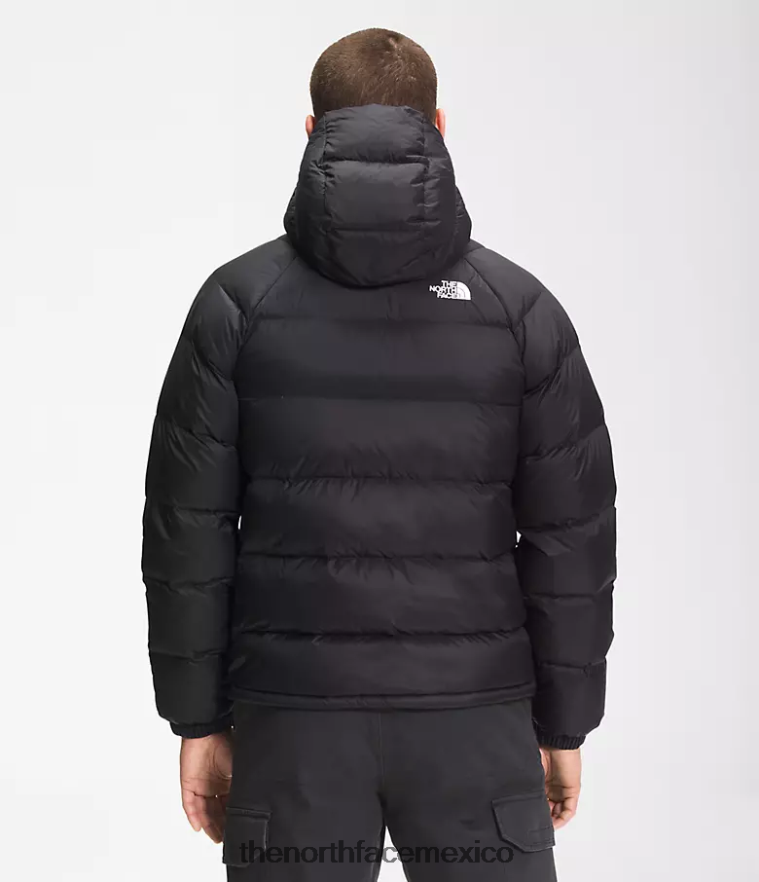 The North Face ropa NFHLJL639 negro hombres sudadera con capucha de hidrenalita - Image 2