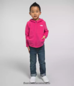 The North Face ropa NFHLJL692 señor. rosa niños sudadera con capucha y cierre completo glaciar - Image 2