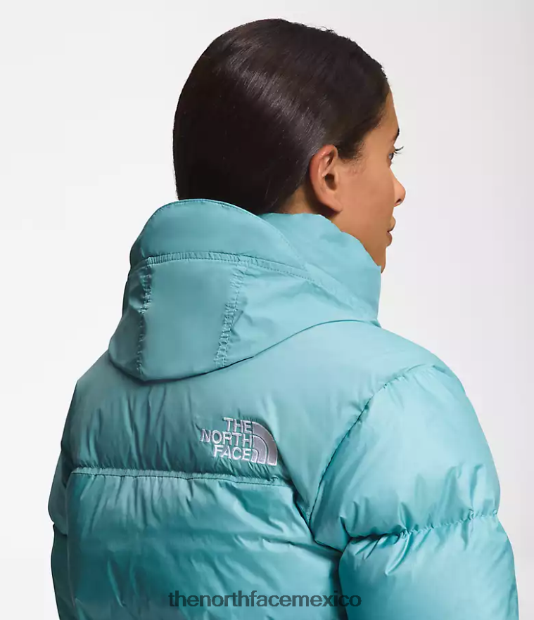 The North Face ropa NFHLJL730 aguas de arrecife mujer chaqueta retro nuptse 1996 - Image 5