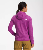 The North Face ropa NFHLJL747 flor de cactus púrpura brezo blanco mujer sudadera con capucha de canyonlands - Image 2