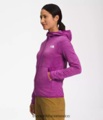 The North Face ropa NFHLJL747 flor de cactus púrpura brezo blanco mujer sudadera con capucha de canyonlands - Image 3