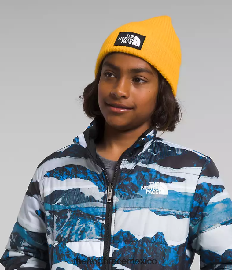 The North Face ropa NFHLJL80 estampado de travesía de montaña azul óptico niños chaqueta reversible con capucha y cremallera completa mt chimbo - Image 4