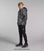 The North Face ropa NFHLJL817 tnf negro tnf marcador logo estampado niños chaqueta reversible con capucha y plumón norte - Image 3