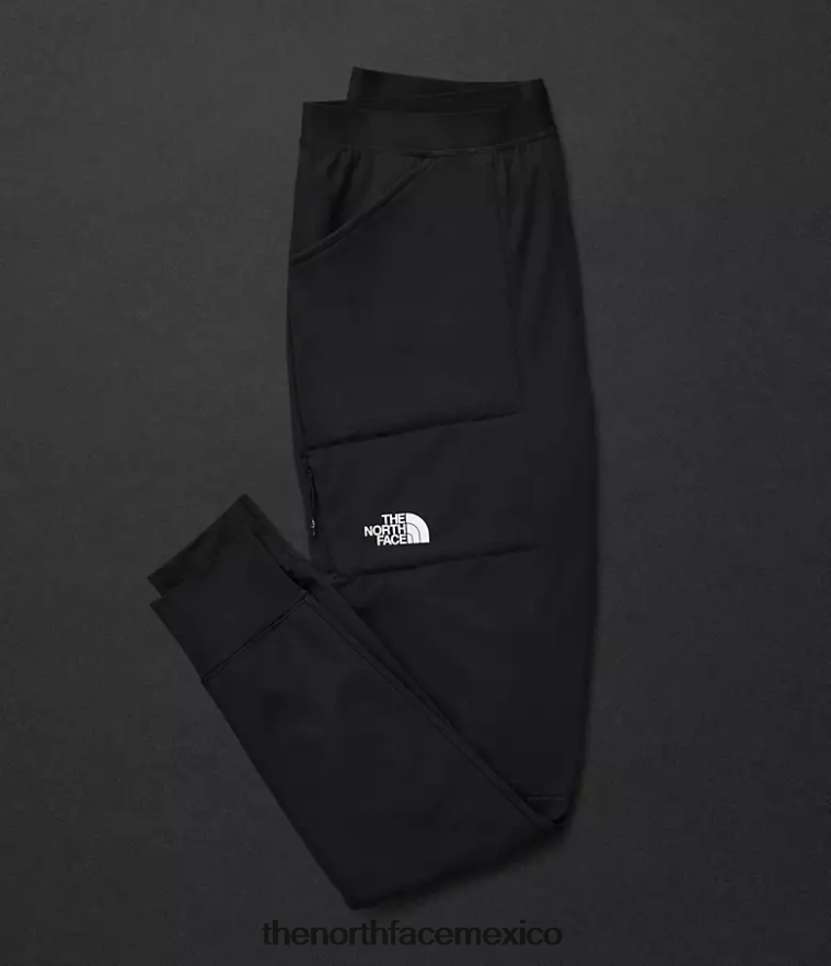 The North Face ropa NFHLJL829 negro hombres pantalones de lana del futuro de la serie Summit - Image 5