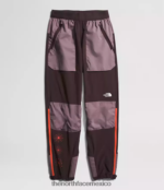 The North Face ropa NFHLJL853 marrón carbón/gris leonado mujer joggers trailwear okt flash - Image 7