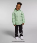The North Face ropa NFHLJL864 sabio brumoso niños chaqueta con capucha North Down - Image 2