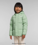 The North Face ropa NFHLJL864 sabio brumoso niños chaqueta con capucha North Down