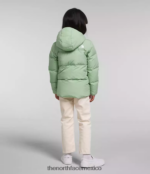 The North Face ropa NFHLJL864 sabio brumoso niños chaqueta con capucha North Down - Image 3