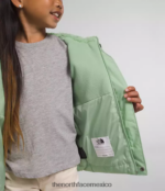 The North Face ropa NFHLJL864 sabio brumoso niños chaqueta con capucha North Down - Image 4