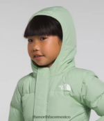 The North Face ropa NFHLJL864 sabio brumoso niños chaqueta con capucha North Down - Image 5
