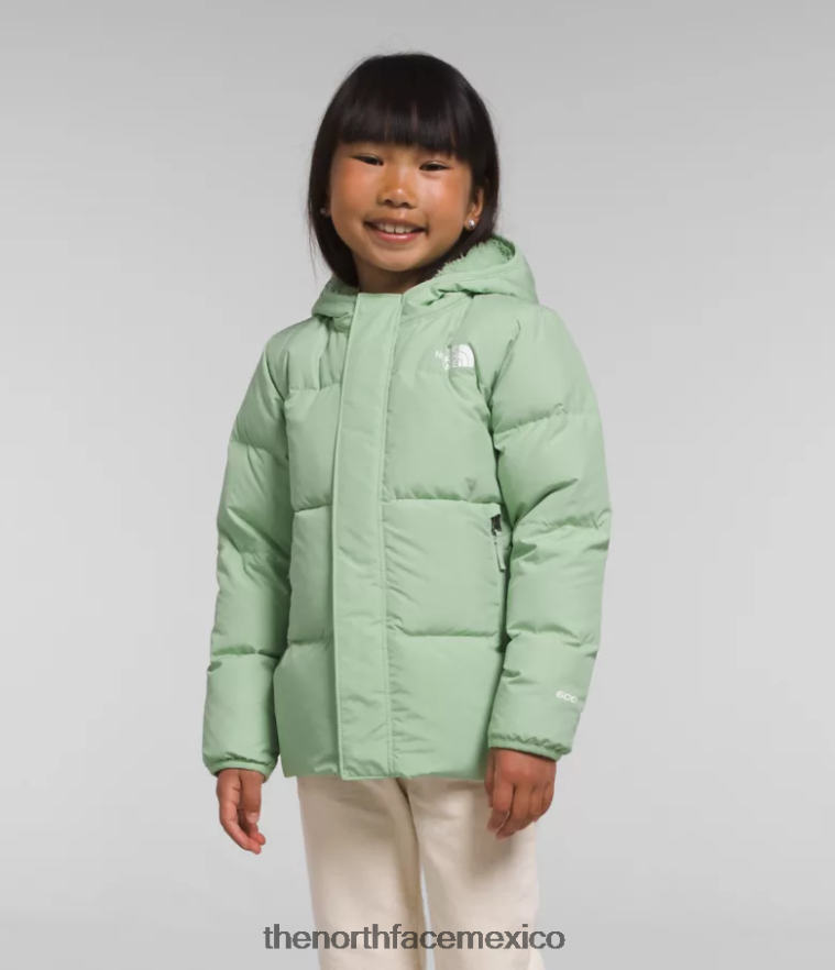 The North Face ropa NFHLJL864 sabio brumoso niños chaqueta con capucha North Down - Image 1