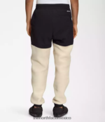 The North Face ropa NFHLJL878 grava hombres pantalones denali - Image 2