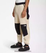 The North Face ropa NFHLJL878 grava hombres pantalones denali - Image 3