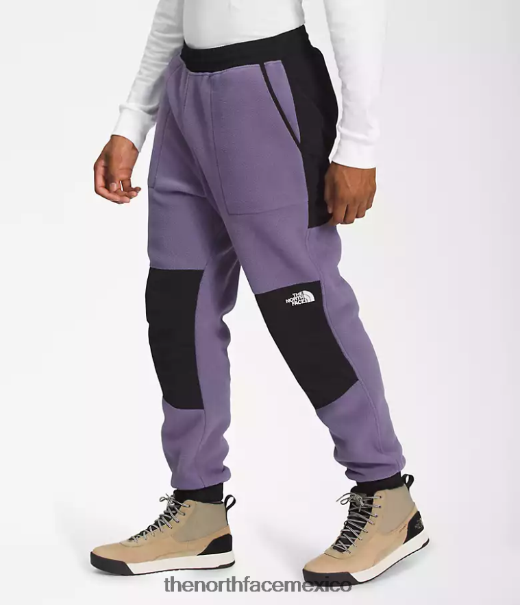 The North Face ropa NFHLJL880 pizarra lunar/tnf negro hombres pantalones denali - Image 3