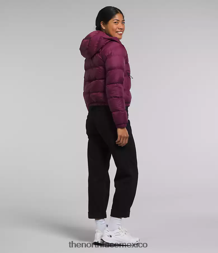 The North Face ropa NFHLJL893 arándano mujer sudadera con capucha de hidrenalita - Image 2