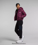 The North Face ropa NFHLJL893 arándano mujer sudadera con capucha de hidrenalita - Image 3