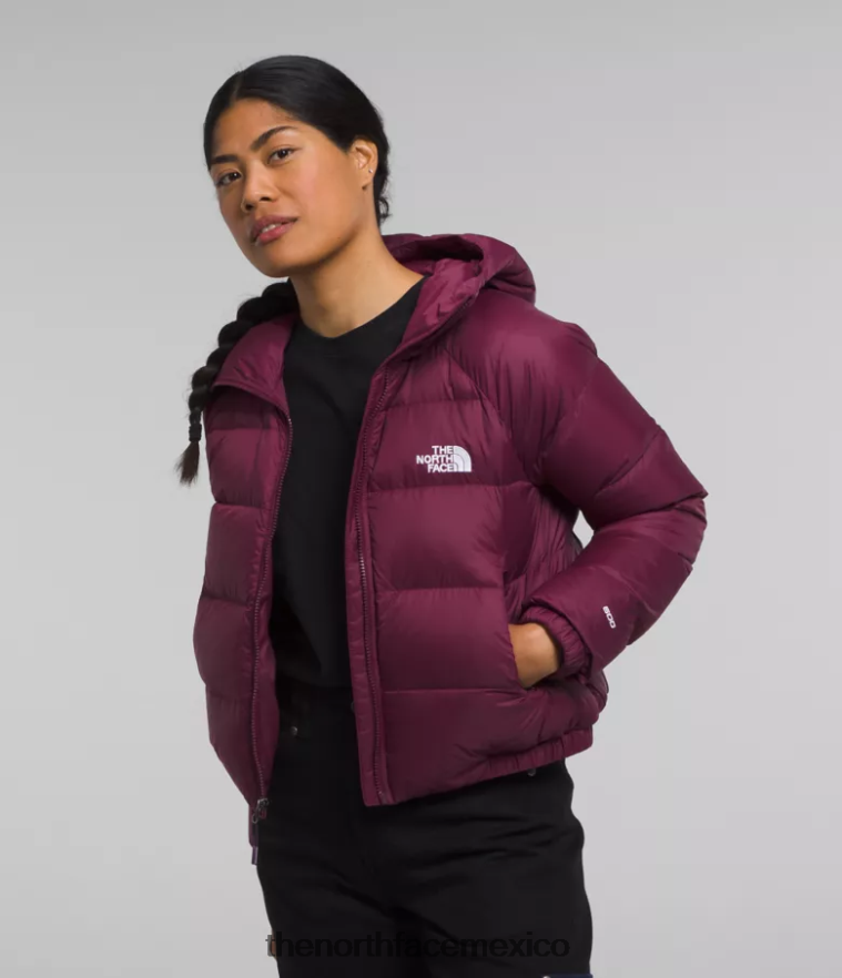 The North Face ropa NFHLJL893 arándano mujer sudadera con capucha de hidrenalita - Image 1