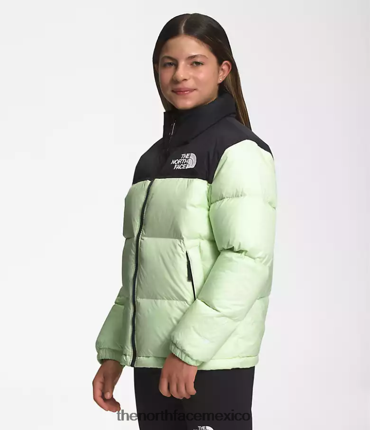 The North Face ropa NFHLJL908 crema de lima niños chaqueta retro nuptse 1996 - Image 3