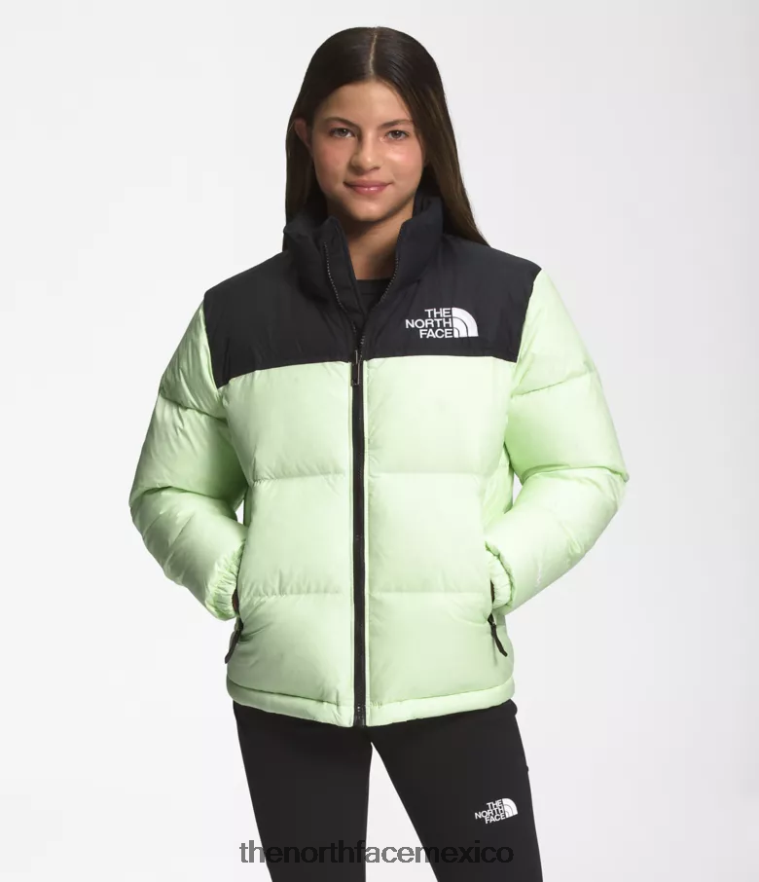 the_north_face_ropa_nfhljl908_crema_de_lima_ninos_chaqueta_retro_nuptse_1996.png The North Face ropa NFHLJL908 crema de lima niños chaqueta retro nuptse 1996 - Image 1