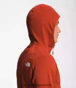 The North Face ropa NFHLJL925 Brezo de bronce oxidado hombres sudadera con capucha de canyonlands - Image 4