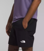 The North Face ropa NFHLJL928 negro hombres pantalones cortos profesionales primordiales - Image 4
