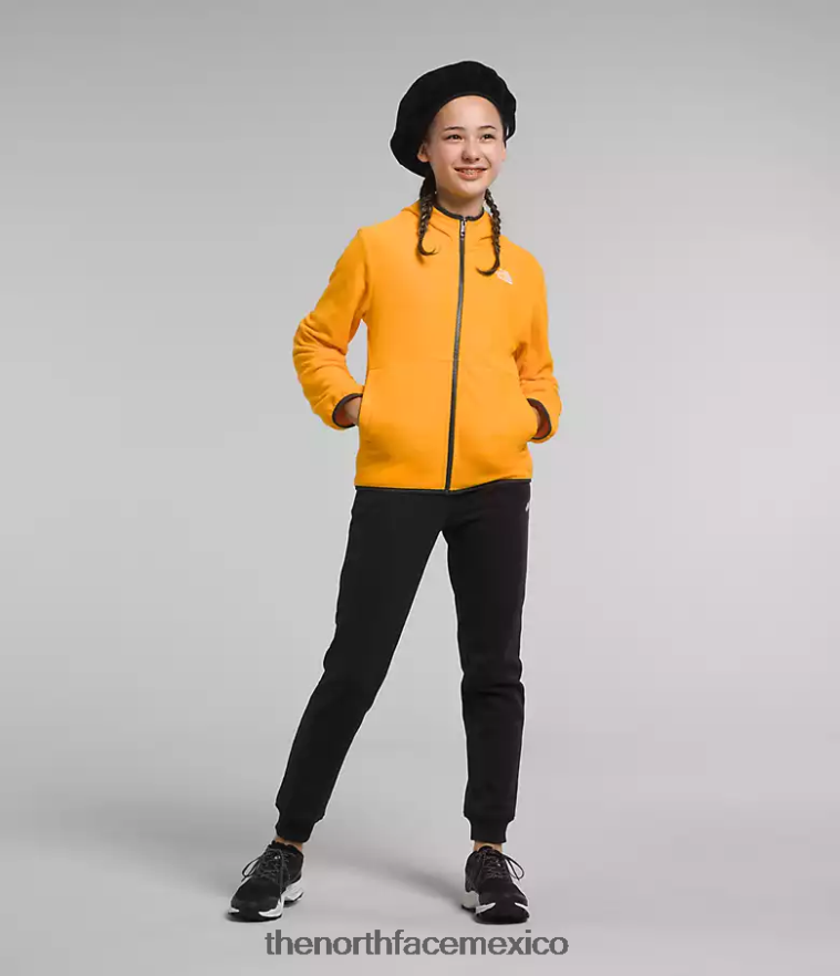 The North Face ropa NFHLJL948 cumbre de oro niños chaqueta con capucha y cierre completo Glacier - Image 2