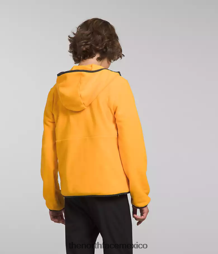 The North Face ropa NFHLJL948 cumbre de oro niños chaqueta con capucha y cierre completo Glacier - Image 3