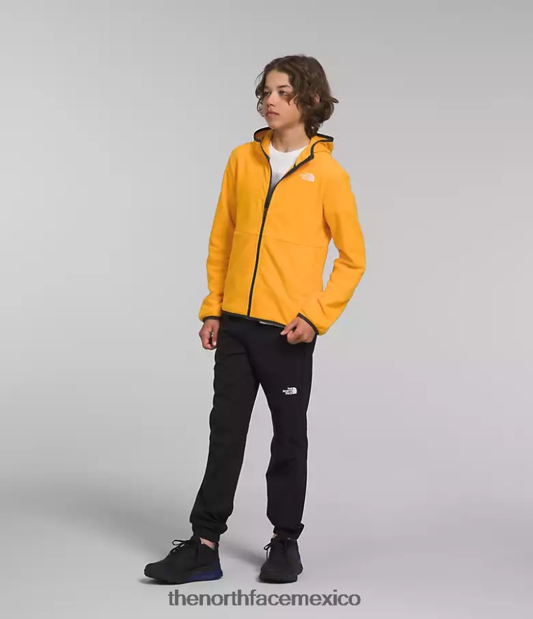 The North Face ropa NFHLJL948 cumbre de oro niños chaqueta con capucha y cierre completo Glacier - Image 4