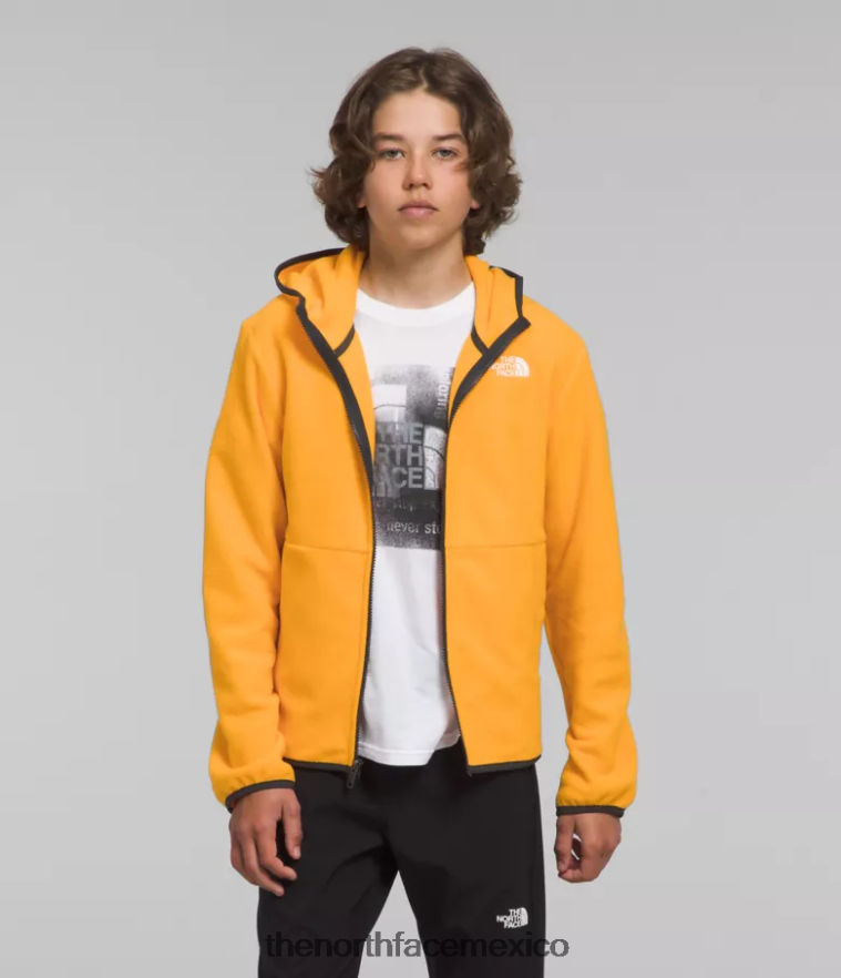 The North Face ropa NFHLJL948 cumbre de oro niños chaqueta con capucha y cierre completo Glacier - Image 1