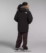 The North Face ropa NFHLJL94 negro hombres parka ártica premium - Image 3