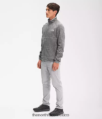 The North Face ropa NFHLJL952 tnf gris medio jaspeado hombres Canyonlands con cremallera completa - Image 3