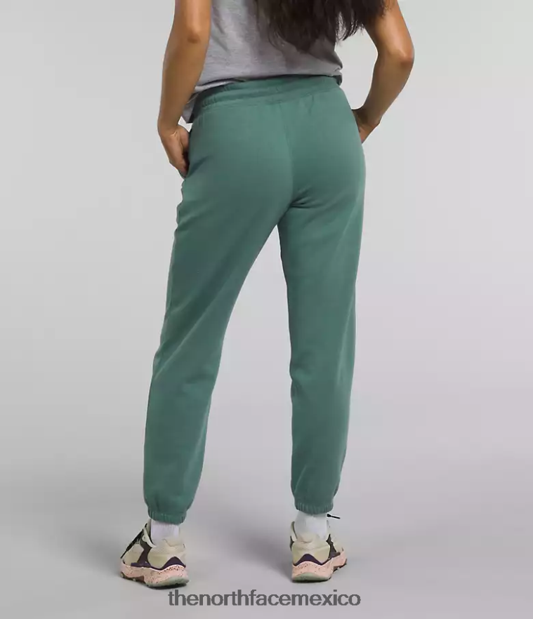 The North Face ropa NFHLJL976 salvia oscura/tnf blanco mujer pantalones deportivos de lana con media cúpula - Image 2