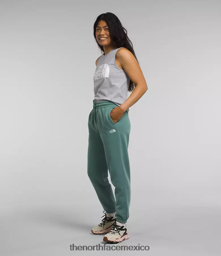 The North Face ropa NFHLJL976 salvia oscura/tnf blanco mujer pantalones deportivos de lana con media cúpula - Image 3