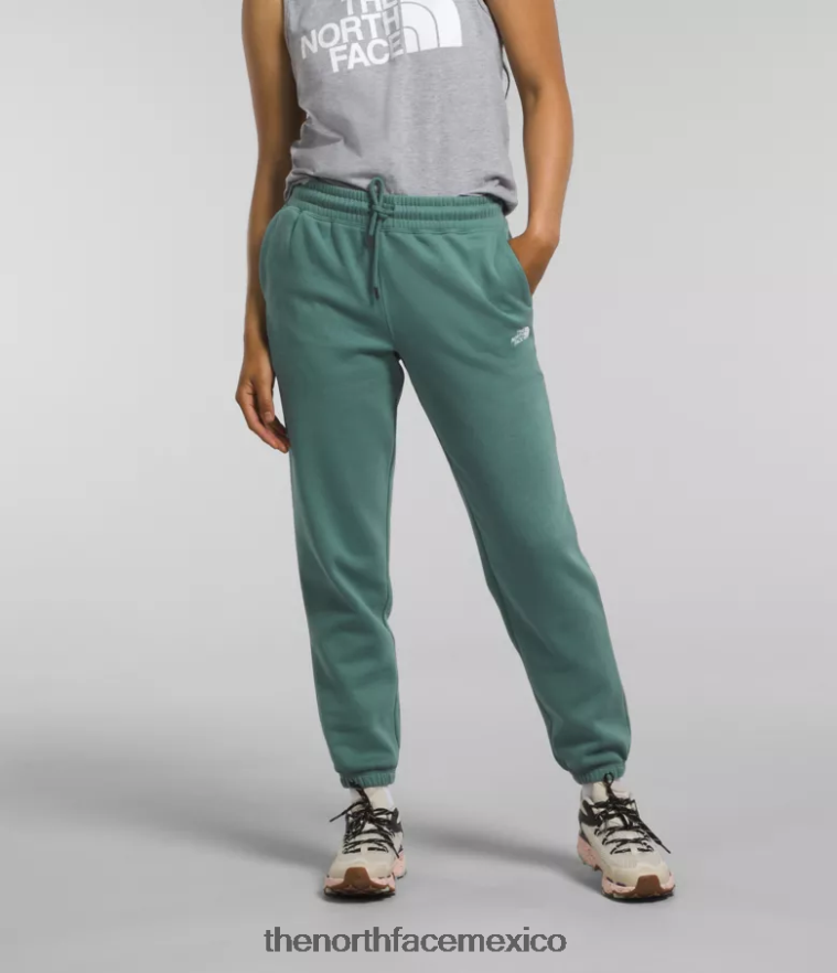 The North Face ropa NFHLJL976 salvia oscura/tnf blanco mujer pantalones deportivos de lana con media cúpula - Image 1