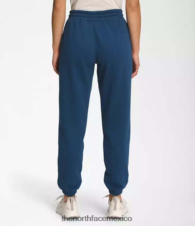 The North Face ropa NFHLJL979 azul sombreado/blanco tnf mujer pantalones deportivos de lana con media cúpula - Image 2