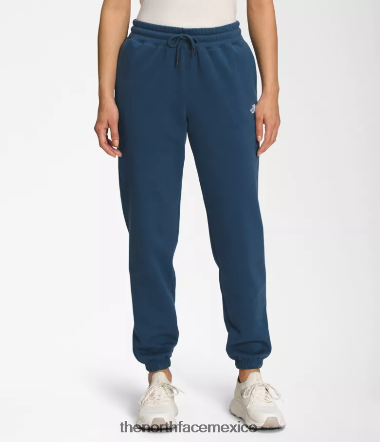 The North Face ropa NFHLJL979 azul sombreado/blanco tnf mujer pantalones deportivos de lana con media cúpula - Image 1