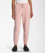 The North Face ropa NFHLJL981 rosa musgo/tnf blanco mujer pantalones deportivos de lana con media cúpula