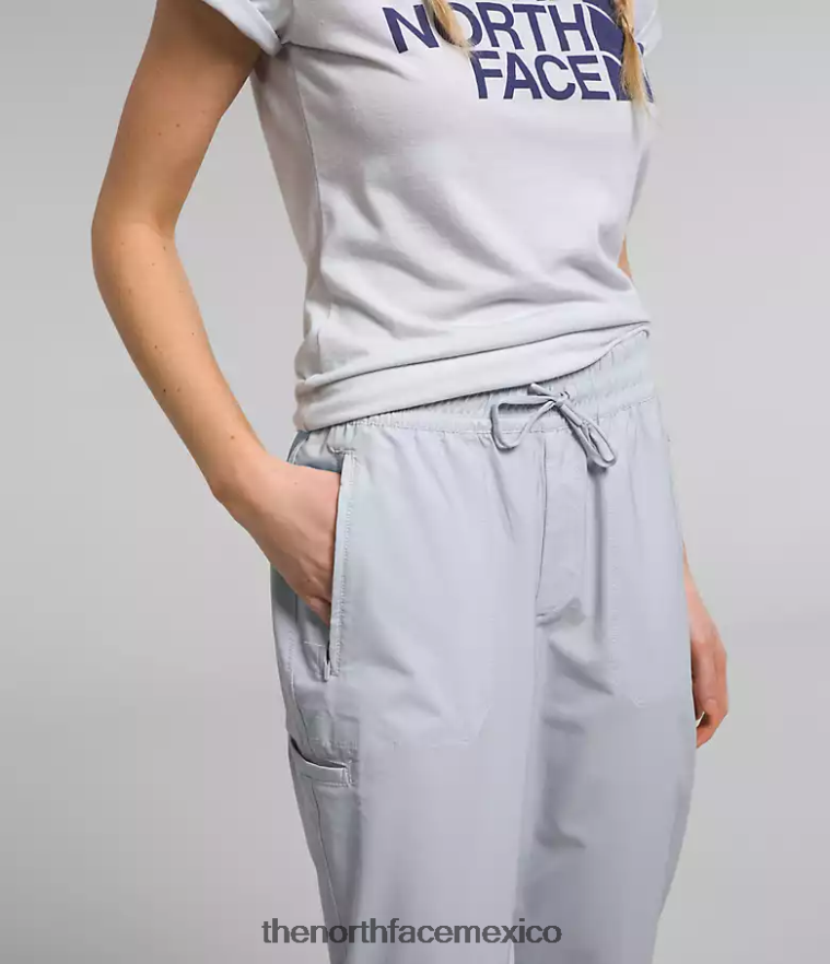 The North Face ropa NFHLJL983 bígaro polvoriento mujer nunca dejes de usar pantalones - Image 4